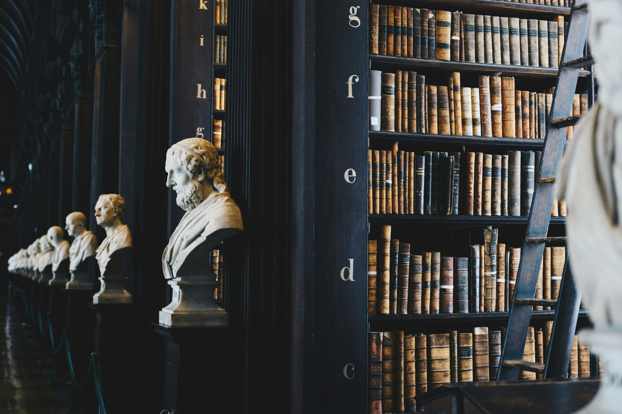 Historic library shelves and busts